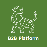 b2b platform